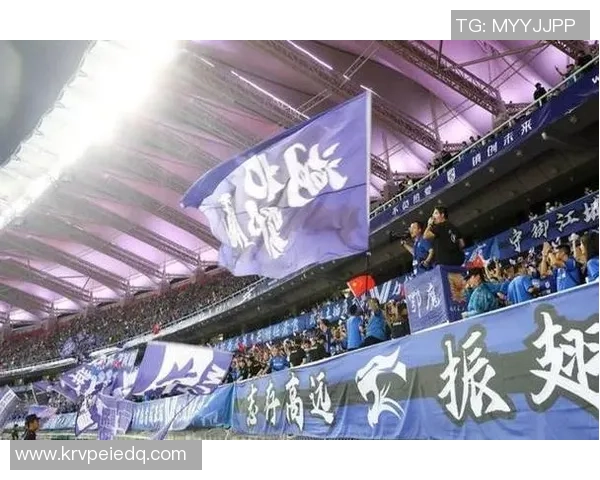 武汉沌口足球明星的崛起与发展历程探秘让我们一起见证他们的辉煌成就